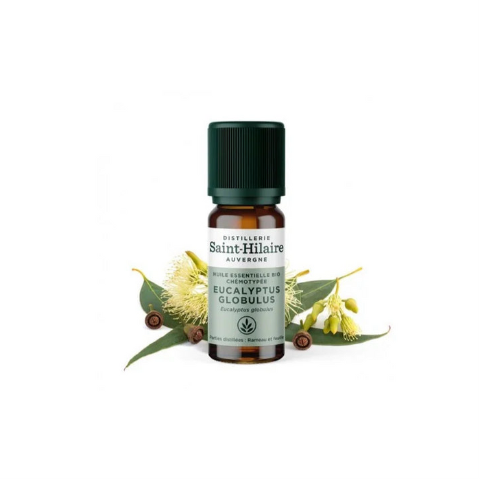 Huile Essentielle d'Eucalyptus Globulus Bio 10ml