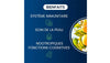 Vitamine C Liposomale Bienfaits