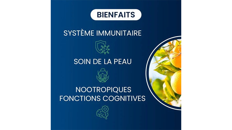 Vitamine C Liposomale Bienfaits