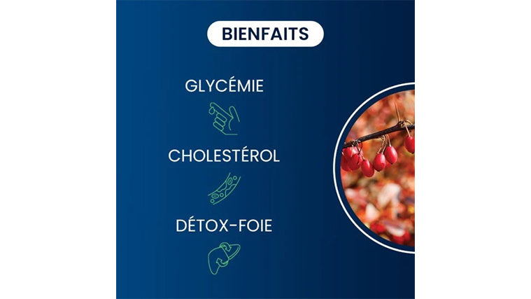 Berbérine