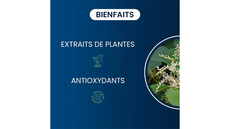 Resveratrol