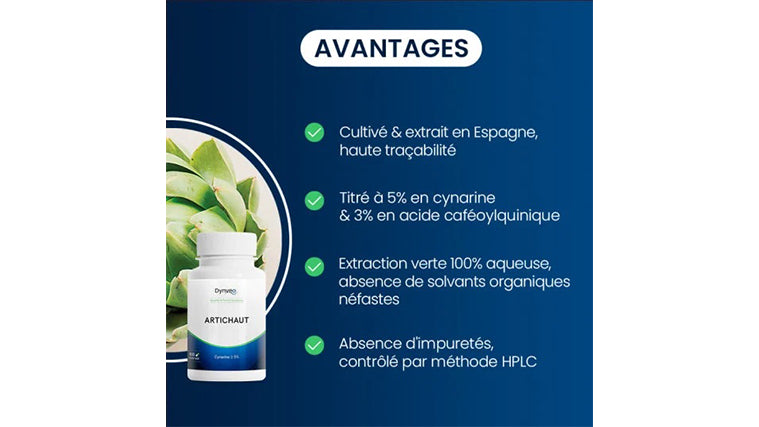 Artichaut
