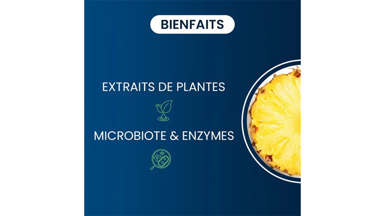 Bromélaïne