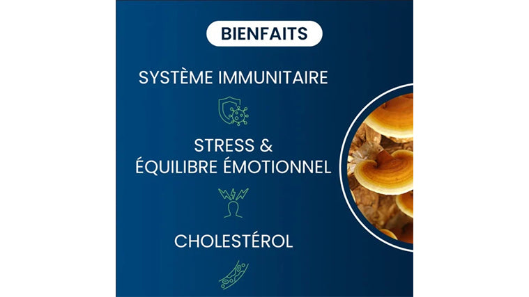 Reishi Bio