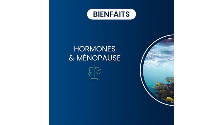 Iode D’Algue Kelp Bio