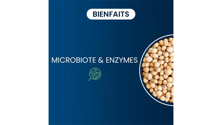 Nattokinase