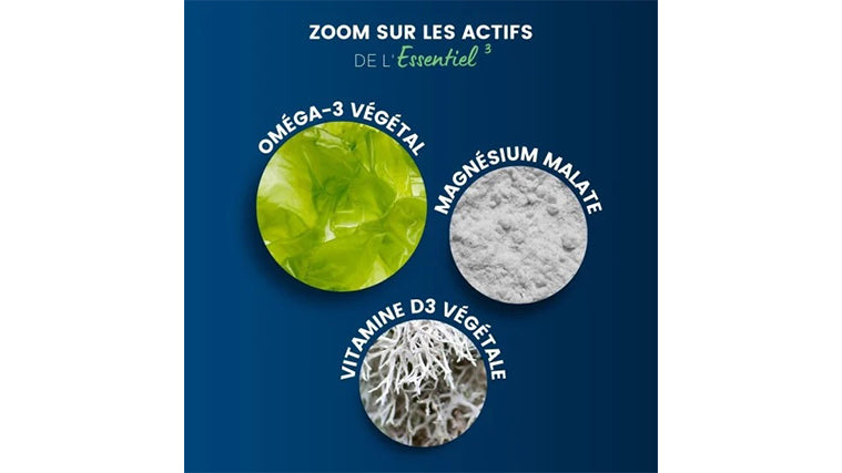 L’Essentiel 3