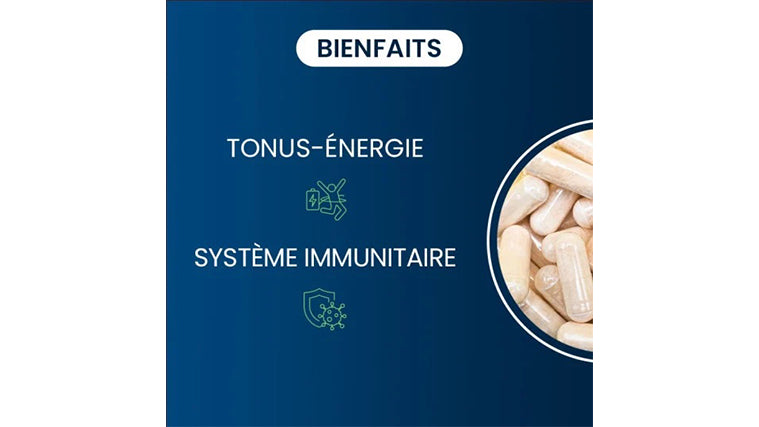 L’Essentiel 3
