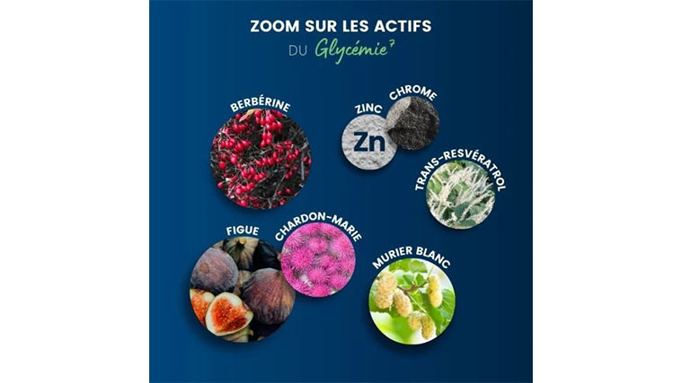 Glycémie 7