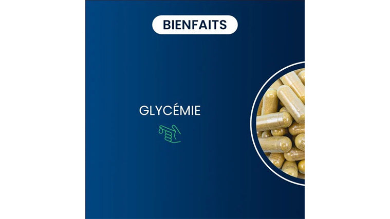 Glycémie 7
