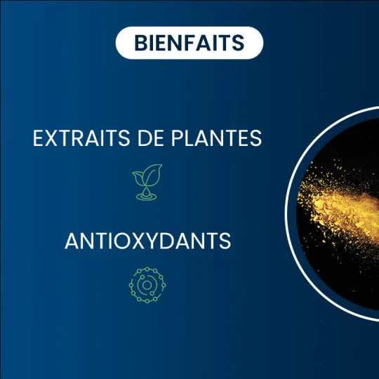 Quercétine Optimisée