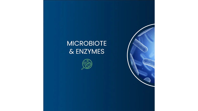 Probio 4