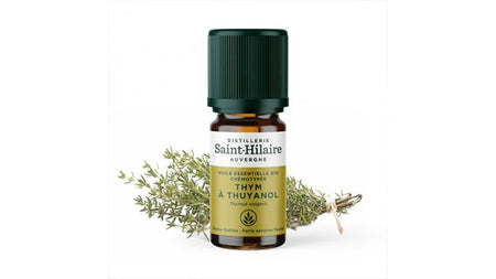 Huile Essentielle Bio de Thym Thuyanol (ou Thujanol)