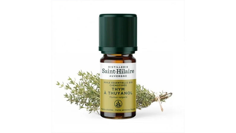 Huile Essentielle Bio de Thym Thuyanol (ou Thujanol)