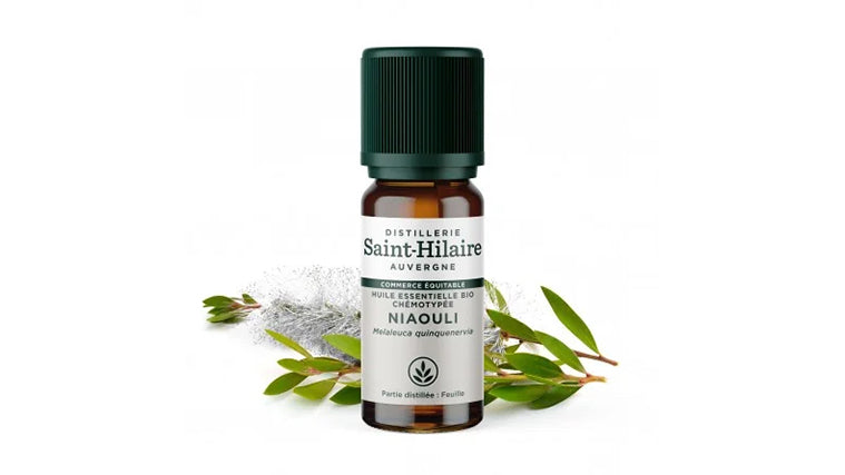 Huile Essentielle Bio de Niaouli