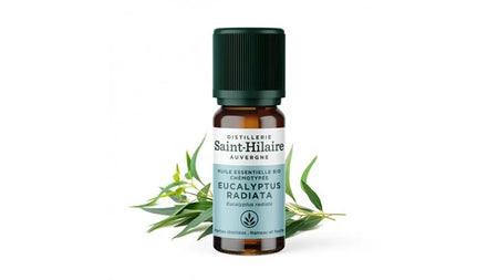 Huile Essentielle Bio d'Eucalyptus radiata 
