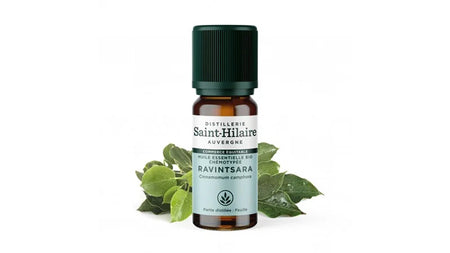 Huile Essentielle Bio de Ravintsara