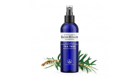 Eau Florale de Tea Tree Bio