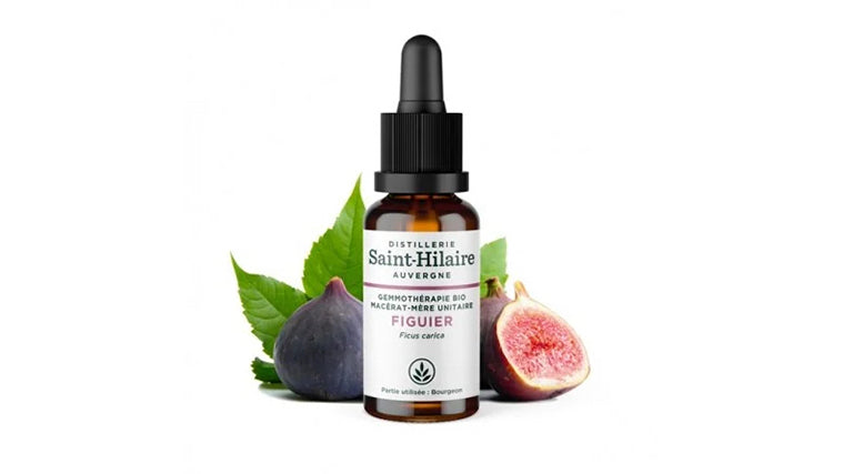 Macérat de Bourgeons de Figuier Bio 30ml