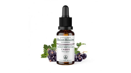 Macérat de Bourgeons de Cassis Bio