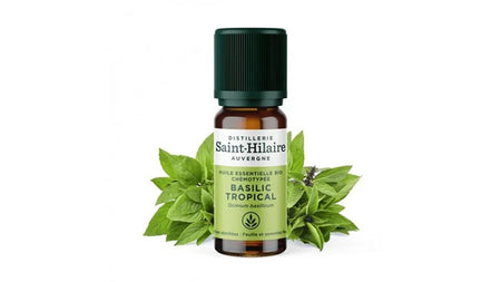 Huile Essentielle Bio de Basilic Tropical