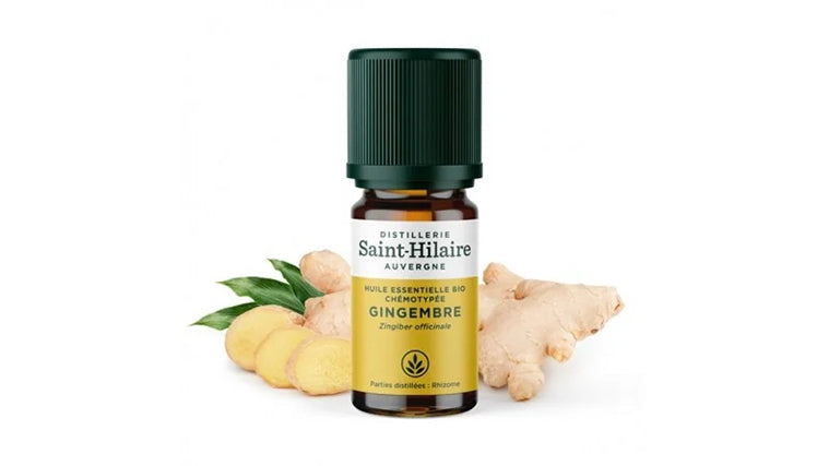 Huile Essentielle de Gingembre Bio