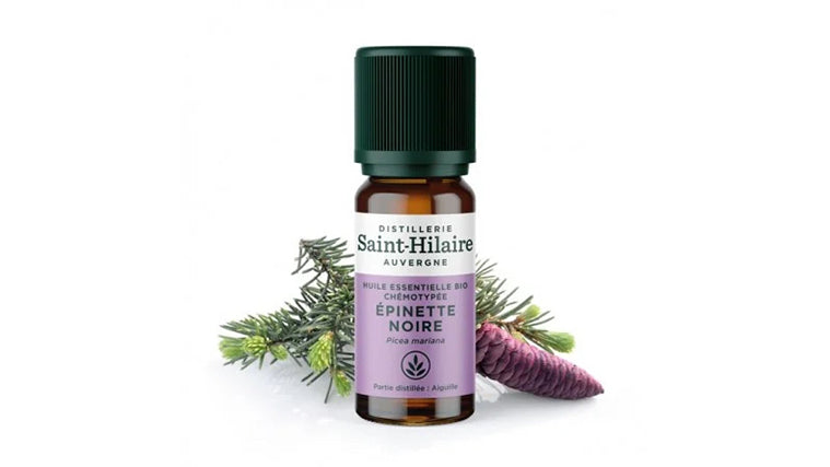Huile Essentielle d'Épinette Noire Bio