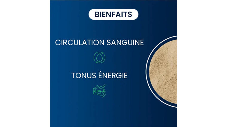 Bisglycinate de Fer
