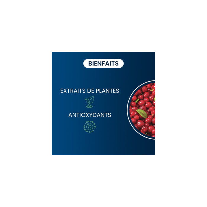 Canneberge Bio (Cranberry)