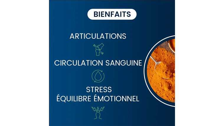 Curcumine BIO Optimisée Bienfaits
